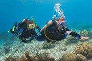 Navigation Scuba Diving Course in Saint Croix, US Virgin Islands